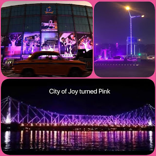 Cricket Ball History-Color-Structure-Dimension-Evolution Cricket Ball History-Color-Structure-Dimension-Evolution